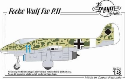 Focke Wulf P.II 1/48