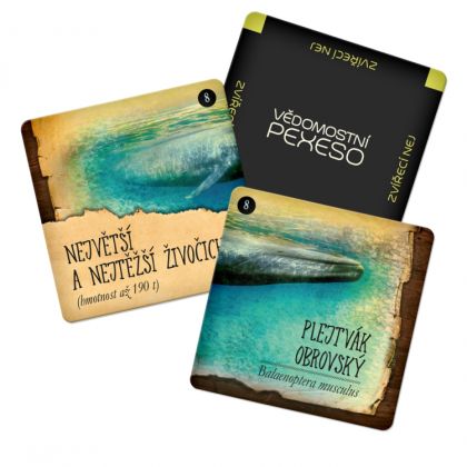 Vědomostní pexeso - zvířecí nej