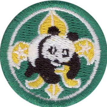 panda zelená