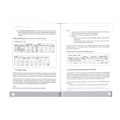 Jednoduché účetnictví 2019