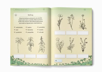 Stezka vlčat 3. stupeň