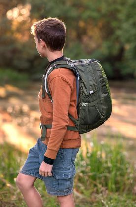 Boll Falcon 20 cedar