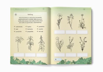 Cestička světlušek 3. stupeň