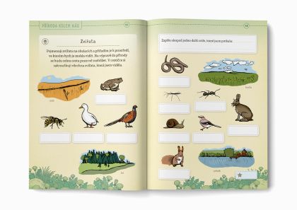 Cestička světlušek 1. stupeň