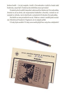 Pod junáckou vlajkou