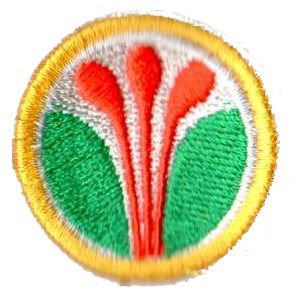 odborka znalec živé přírody 2.st.