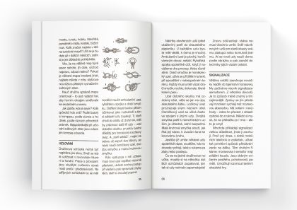 Rádce skautské družiny