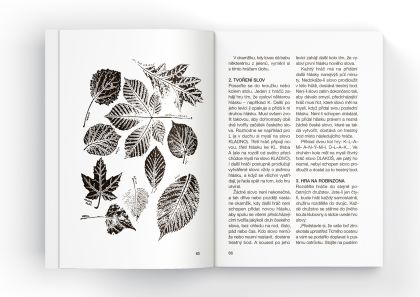 Rádce skautské družiny