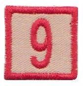 Číslo oddílu pěší 006,009