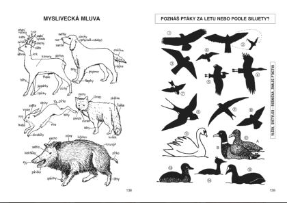 Kdo si hraje nezlobí