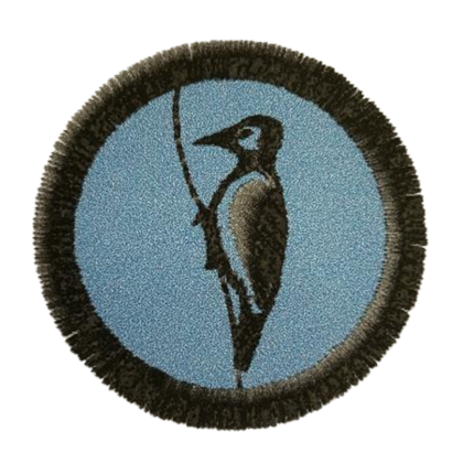 Nášivka družiny Datel