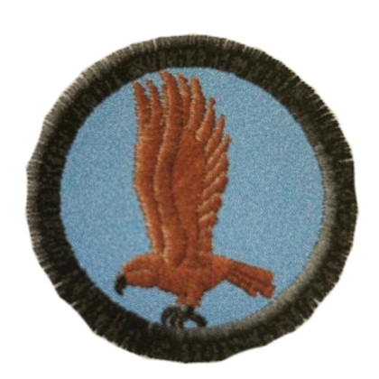 Nášivka družiny Jestřáb