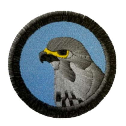 Nášivka družiny Ostříž 1