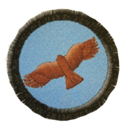 Nášivka družiny Krahujec 2