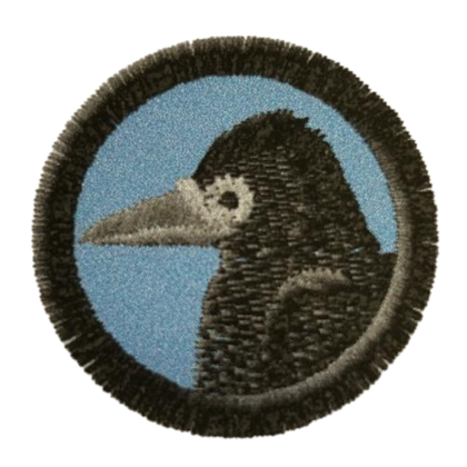 Nášivka družiny Havran