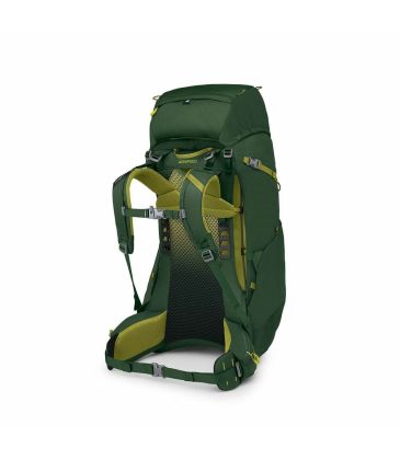 Osprey Ace 50 canopy/match green
