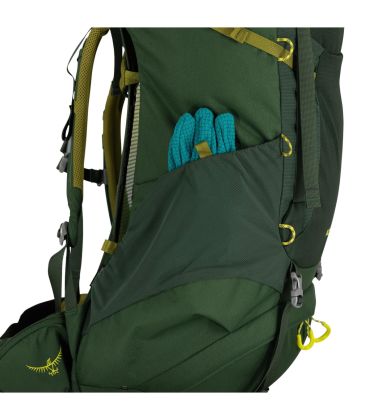Osprey Ace 50 canopy/match green