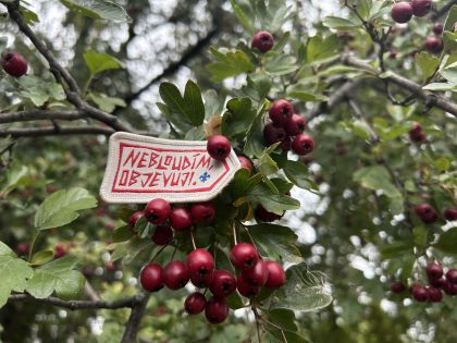 Nášivka RS Nebloudím