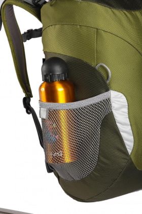 Boll Trapper 18 boysenberry 2025