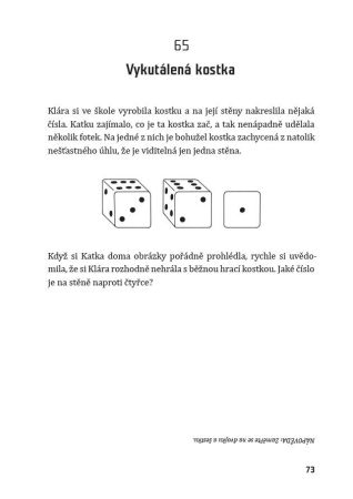 100 mozkocvičných hádanek