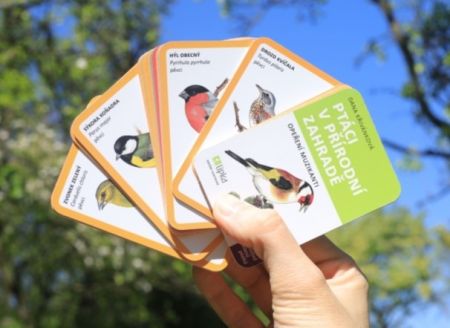 Ptáci v přírodní zahradě 