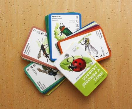 Hmyz v přírodní zahradě