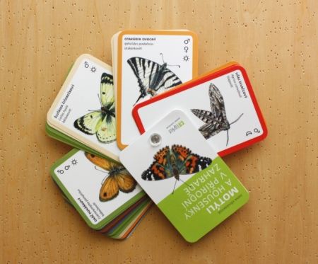 Motýli a housenky v přírodní zahradě