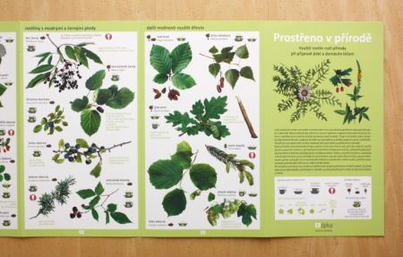 Prostřeno v přírodě 