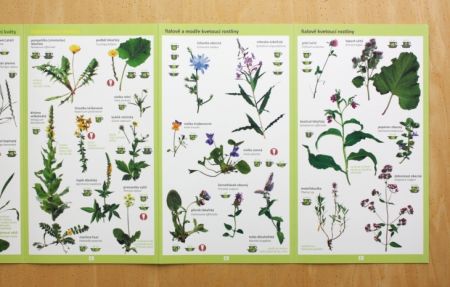 Prostřeno v přírodě 