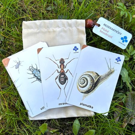 Rezekartičky - Půdní bezobratlí I.