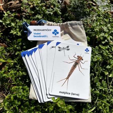 Rezekartičky - Vodní bezobratlí I.