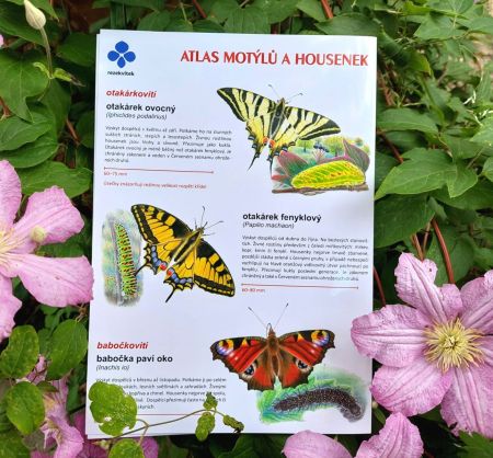 Atlas motýlů a housenek