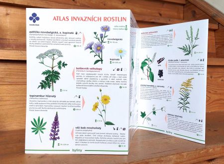 Atlas invazních rostlin 