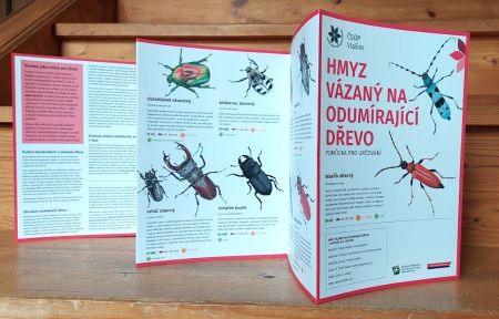 Hmyz vázaný na odumírající dřevo