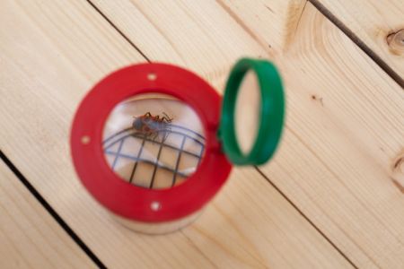 Kelímek s dvojitou lupou