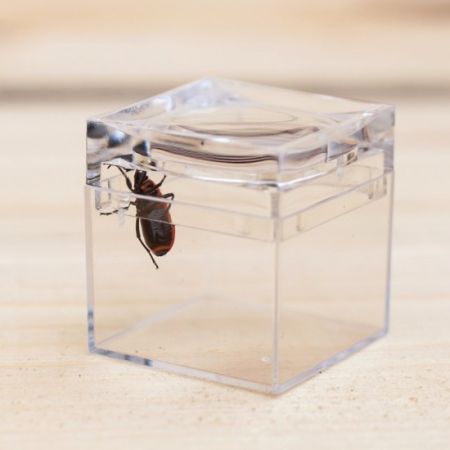 Průhledná plastová krabička s lupou