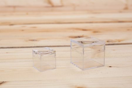 Průhledná plastová krabička s lupou