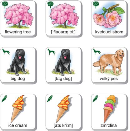 Pexetrio Kids - Moje první anglická slovíčka 36 dílků