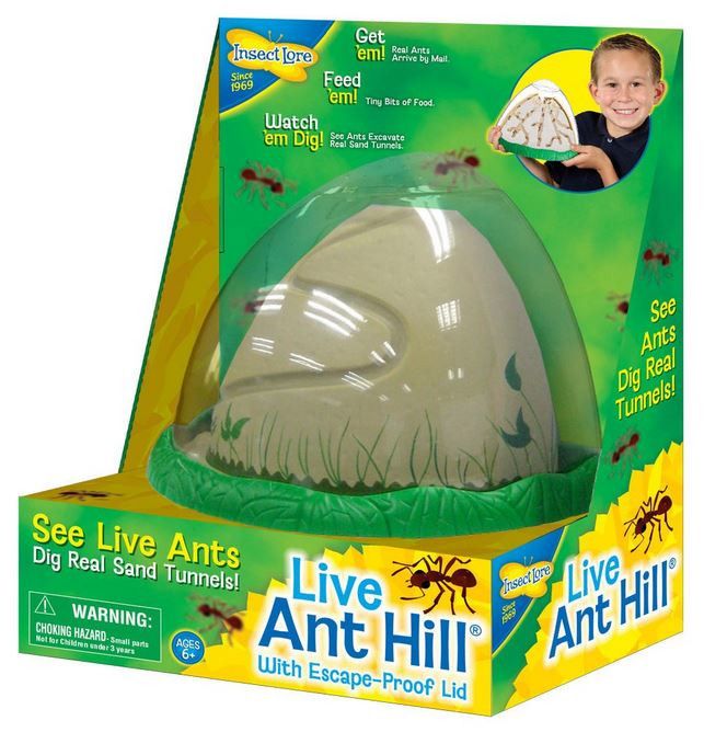 Insect Lore Mraveniště - AntHill