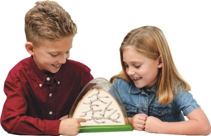 Insect Lore Mraveniště - AntHill