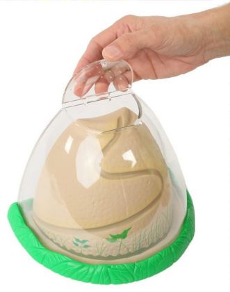 Insect Lore Mraveniště - AntHill