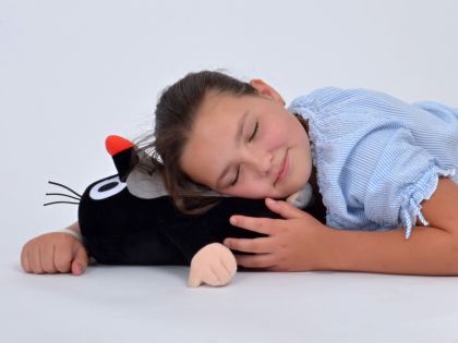 Krtek 25cm, minipolštářek