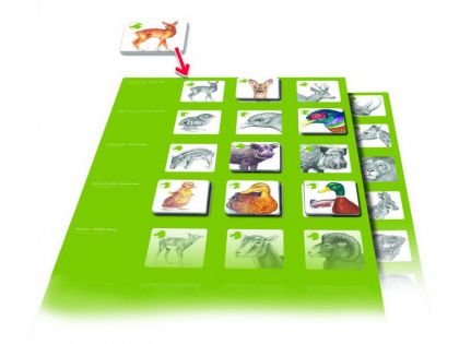 Pexetrio - Zvířecí rodinky 36 dílků