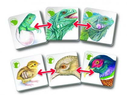 Pexetrio - Zvířecí rodinky 36 dílků