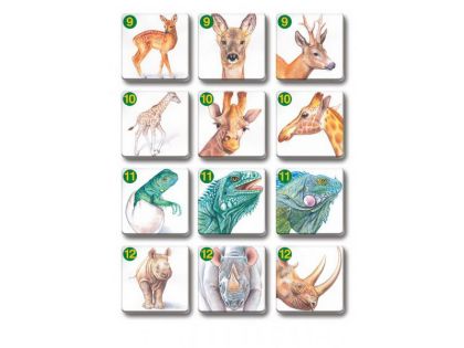 Pexetrio - Zvířecí rodinky 36 dílků