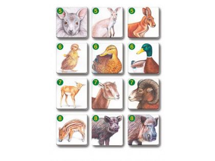 Pexetrio - Zvířecí rodinky 36 dílků