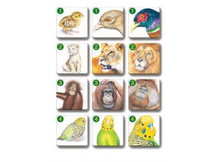 Pexetrio - Zvířecí rodinky 36 dílků