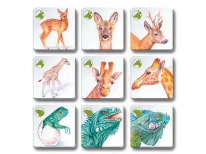 Pexetrio - Zvířecí rodinky 36 dílků