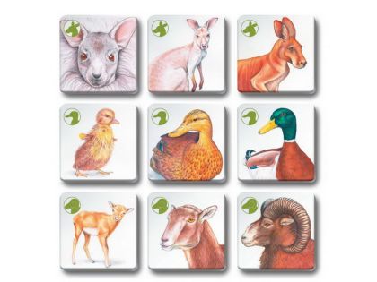 Pexetrio - Zvířecí rodinky 36 dílků