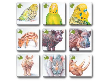 Pexetrio - Zvířecí rodinky 36 dílků